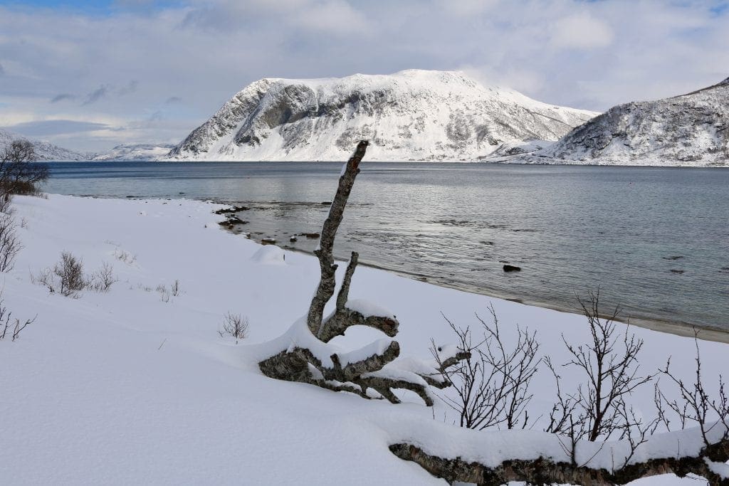 Fjords of Tromsø, Norway