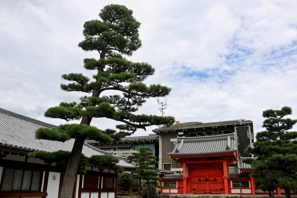 Grounds of the Sanjusangen-do Temple