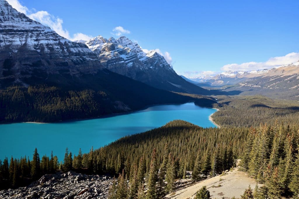 Peyto Lake in October