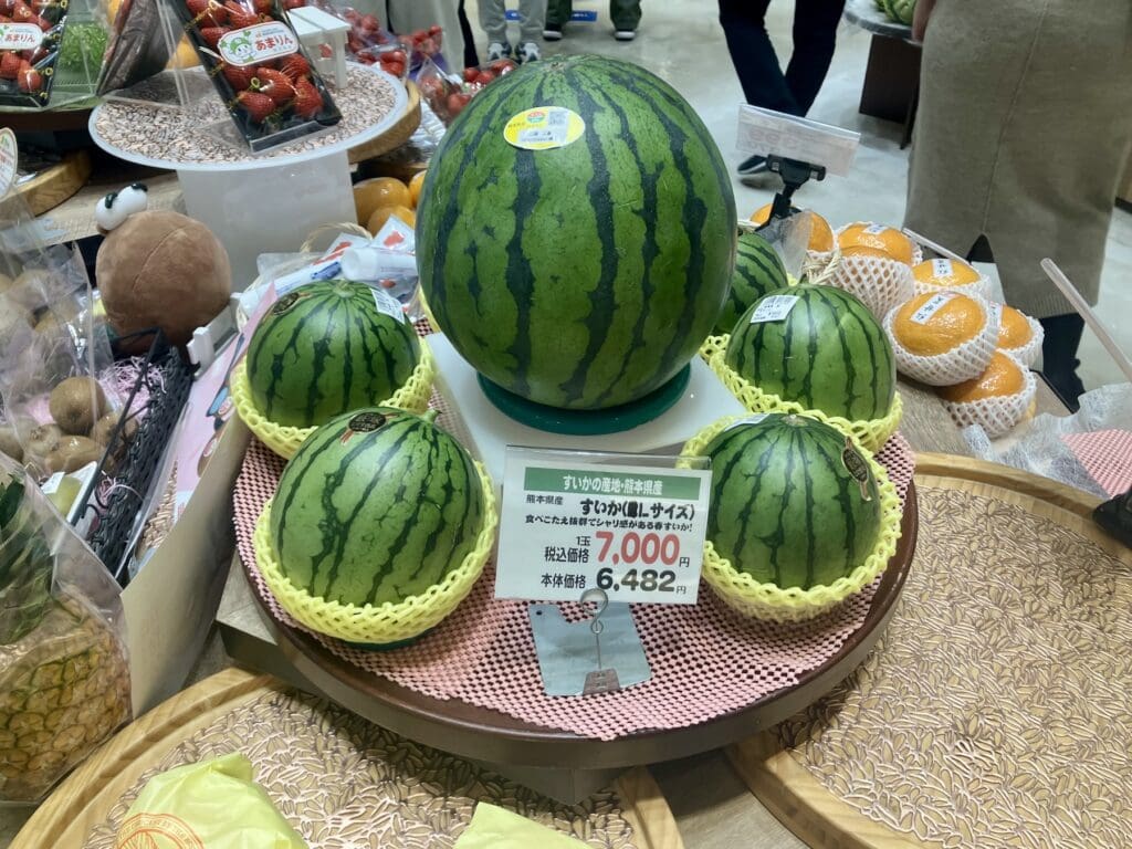 I Enjoyed Looking at the