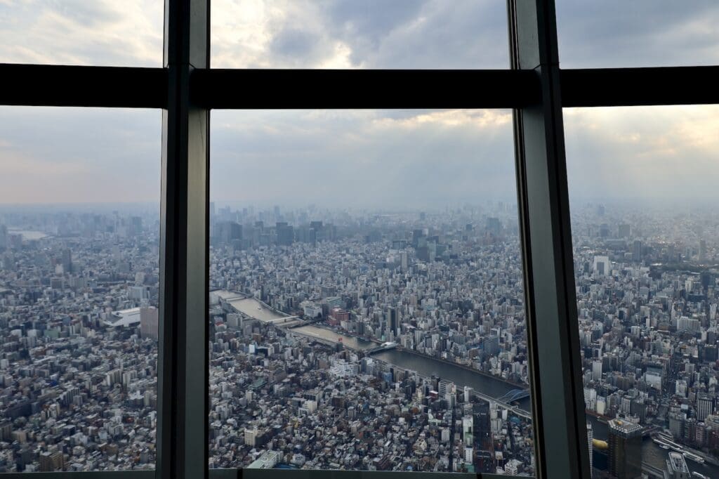 Looking Out the WIndows on the Tembo Galleria (Floor 450)