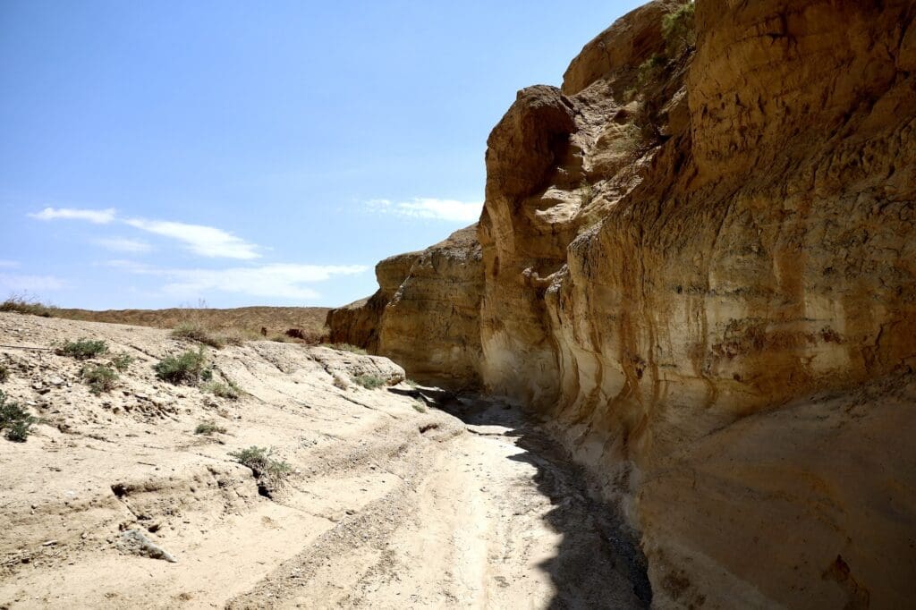 Small Amounts of Shade in the Dry River Bed