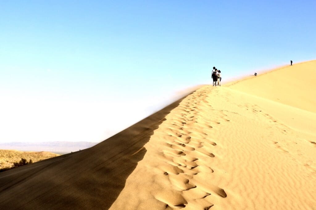 I Climbed About Halfway Up the Singing Dune
