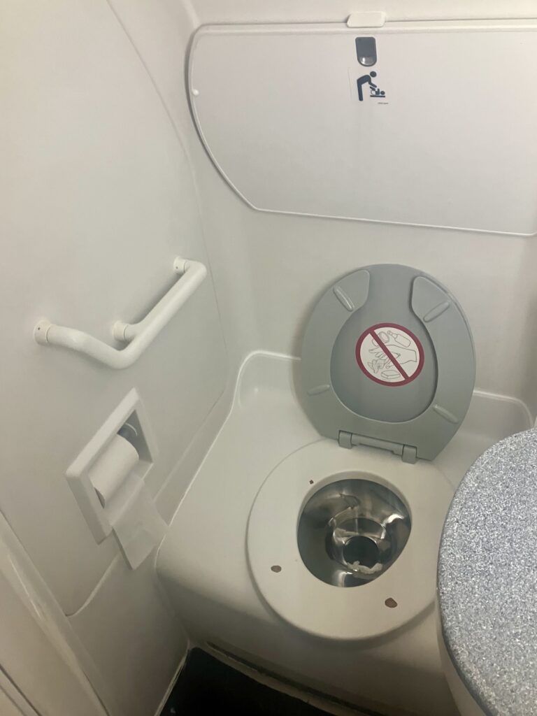 WestJet Encore Dash 8 Q400 Lavatory