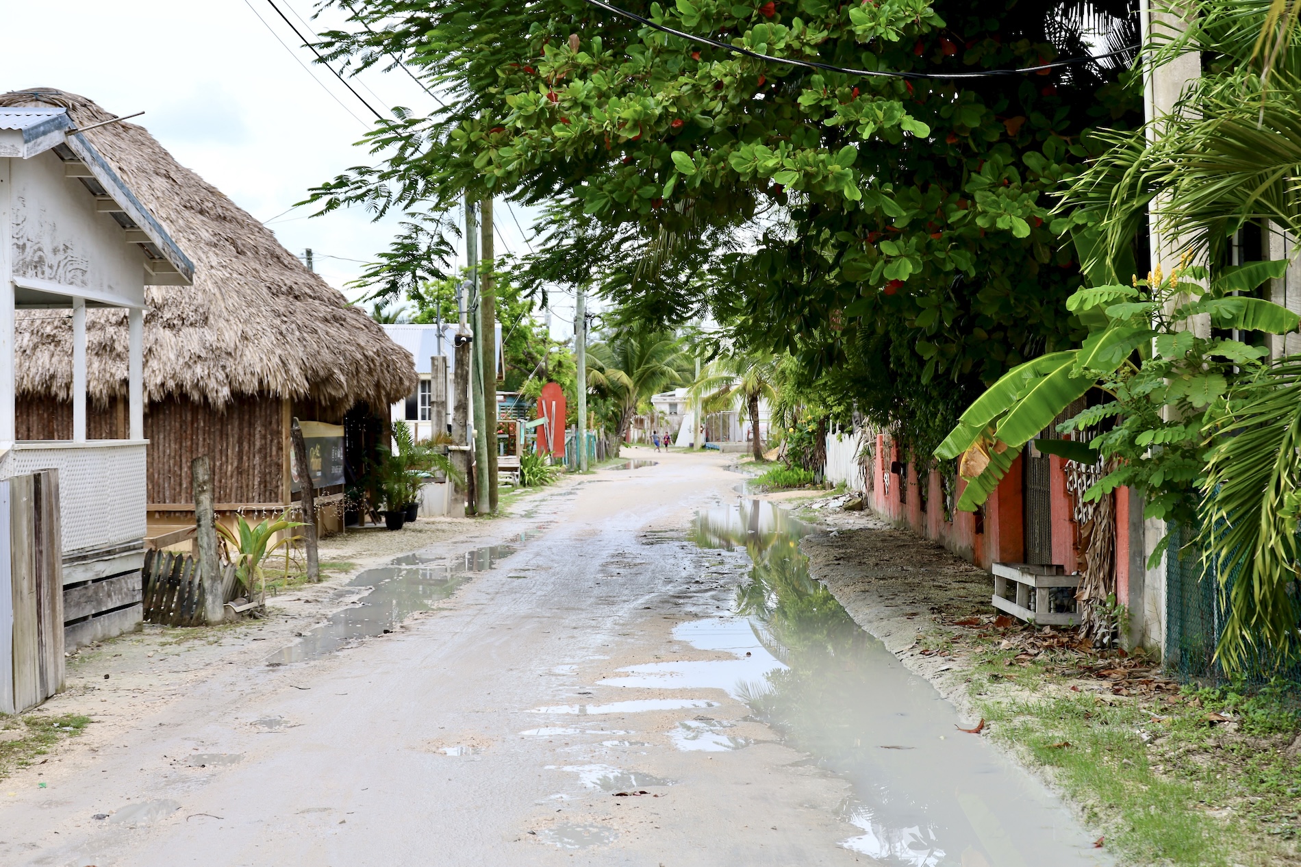 Muddy Roads After a Thunderstorm