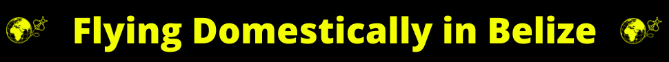 Flying Domestically in Belize Banner