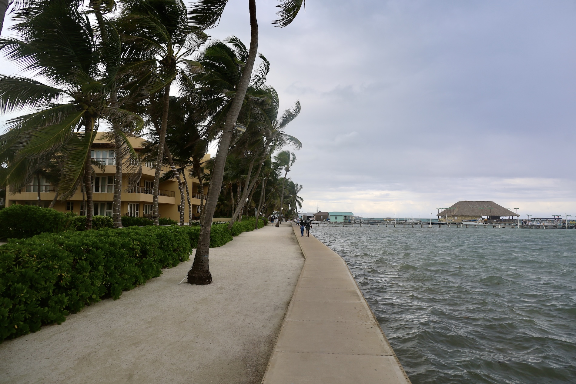 Walking the Shoreline - Ambergris Caye, Belize
