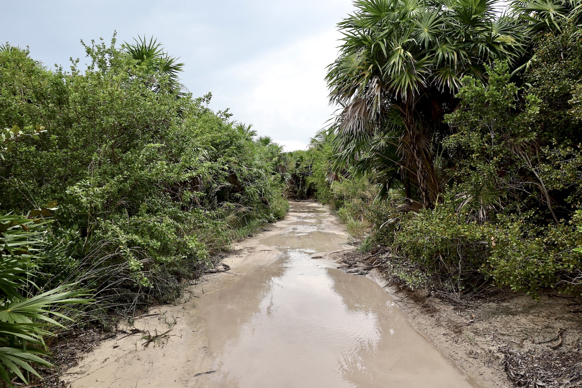 Muddy Roads - Caye Caulker, Belize