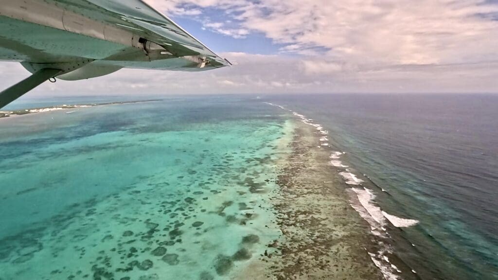 Coral Reefs Near Caye Caulker