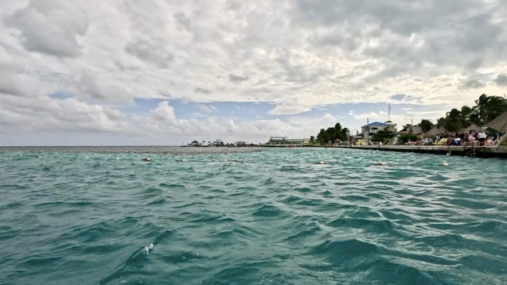 Arriving Back at Caye Caulker