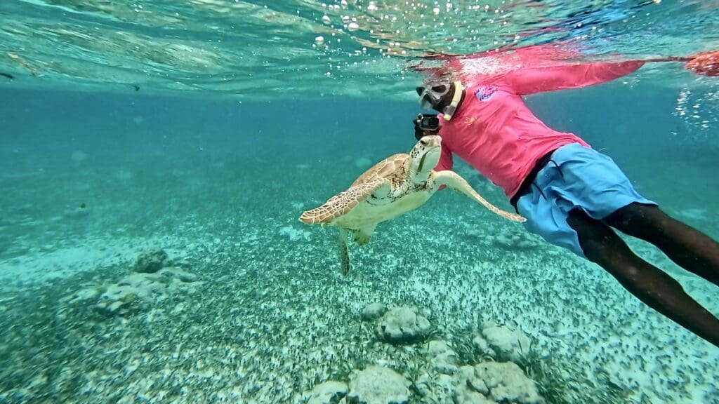 A Sea Turtle and Captain Phillip