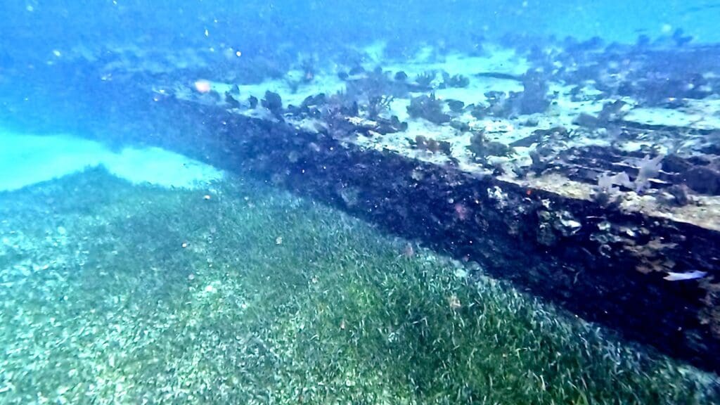 The "Belizian Titantic"