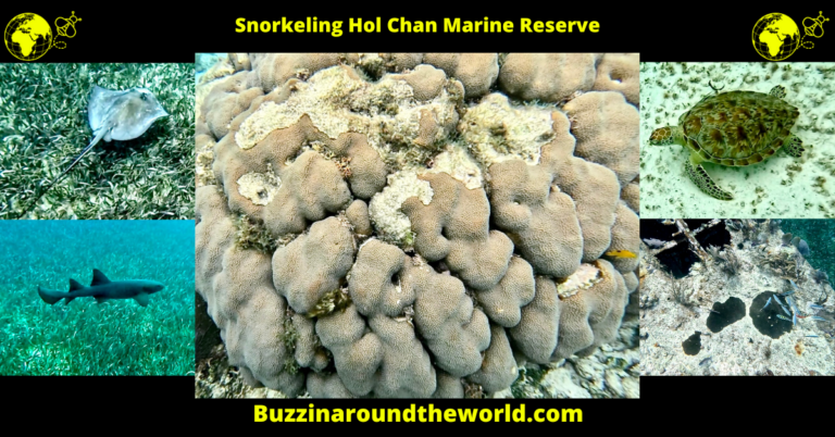 Snorkeling Hol Chan Marine Reserve