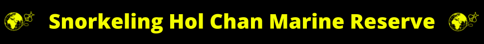 Snorkeling Hol Chan Marine Reserve Banner