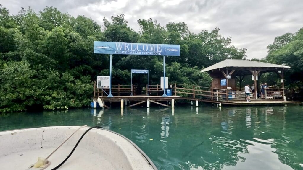 Tarpon Cove - Caye Caulker
