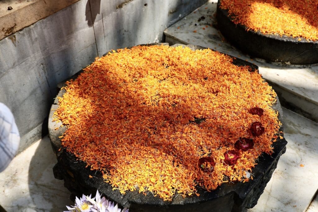 Flower Petals Covering Buddha's Footprints