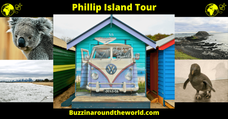 Phillip Island Tour