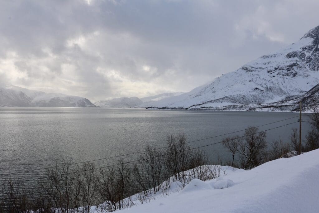 A Great View of a Norwegian Fjord