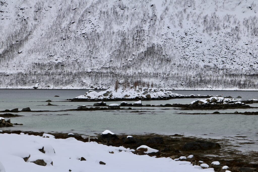A Late-Winter Scene of a Fjord Near Tromsø